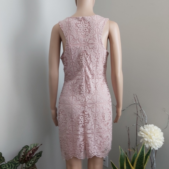 Jack by BB Dakota sheath dress pink lace sleeveless mauve rose cottagecore - Picture 8 of 16